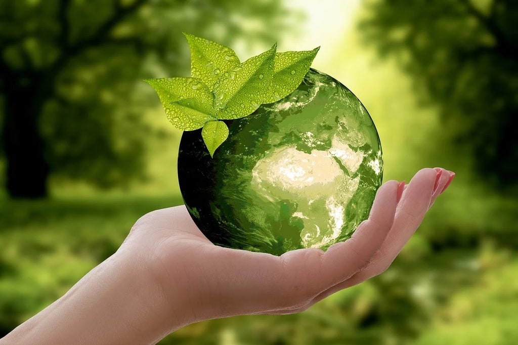 Formation professionnelle en écologie pour un avenir durable